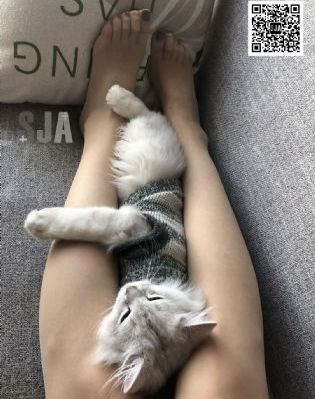 探索新境纪录片在线观看免费