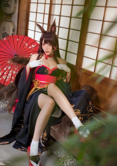 shameless第四季