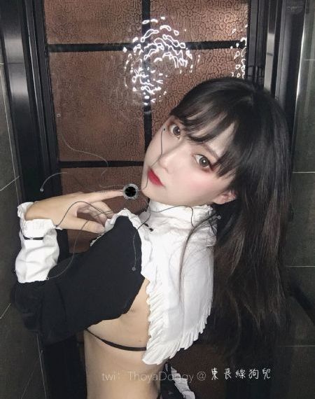 二哈和他的白猫师尊电视剧