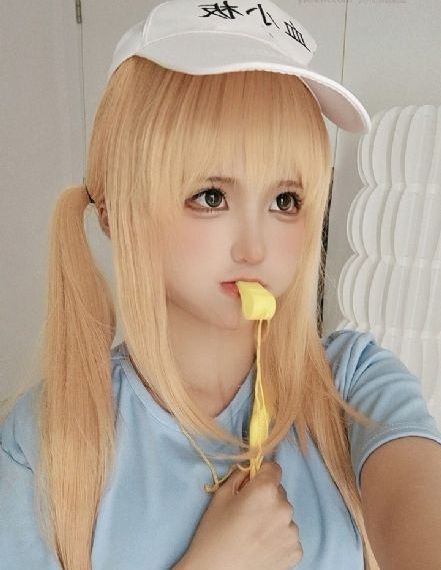 精灵探访记樱花动漫