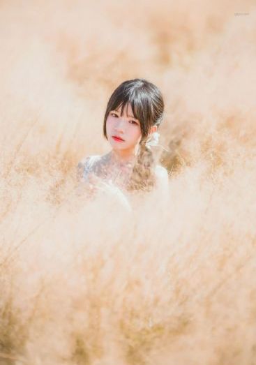 《森林里的熊先生》樱花动漫