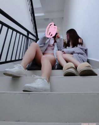 啄木鸟在线