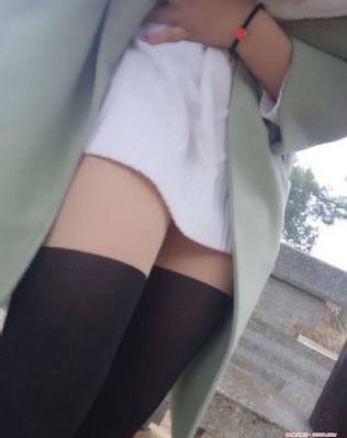 掌中之物动漫免费观看完整版