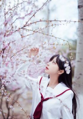 三个姑妈一个侄